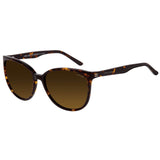 ALLEY Modified Cat-Eye Sunglass for Women AR153 ARCADIO