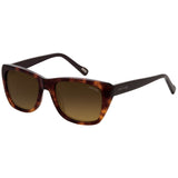 ALLEY Modified Cat-Eye Sunglass for Women AR174 ARCADIO