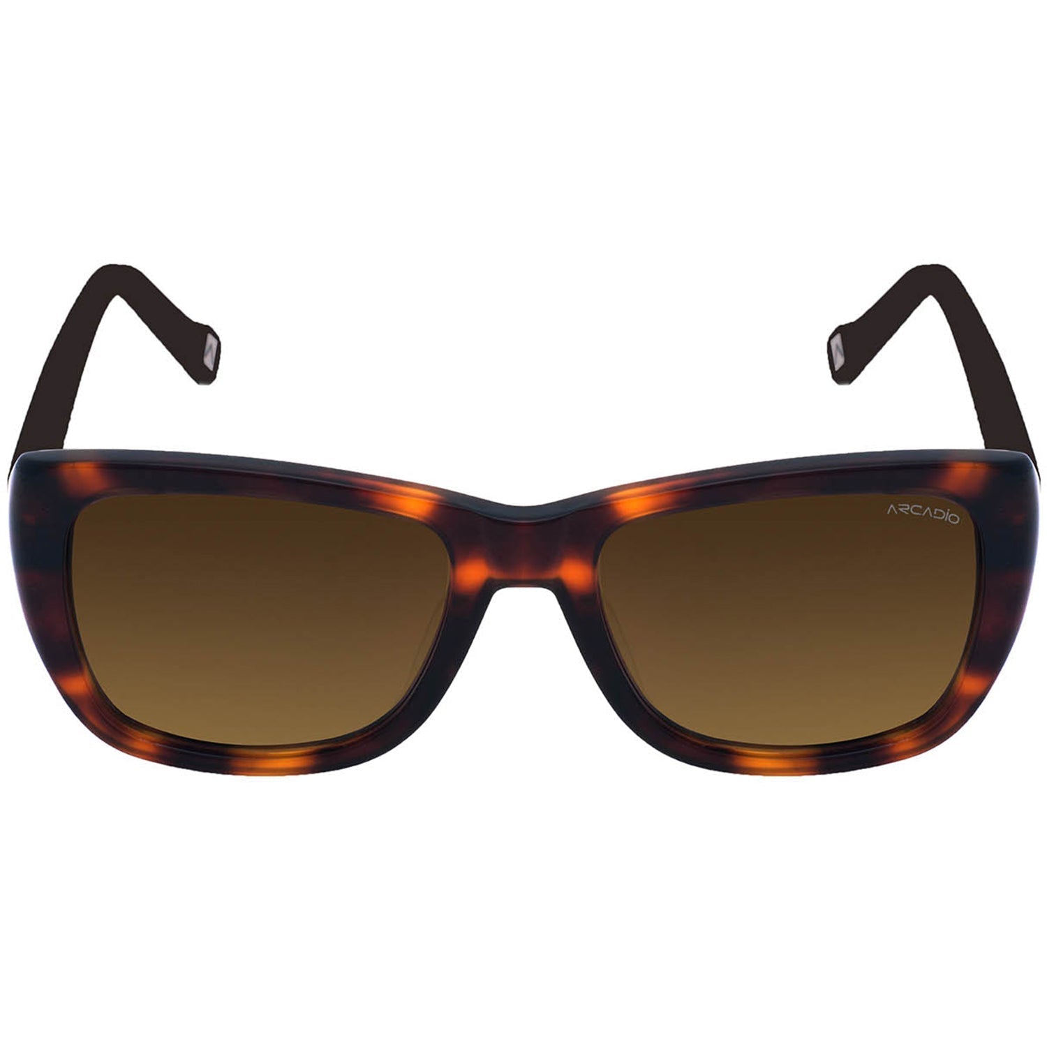 ALLEY Modified Cat-Eye Sunglass for Women AR174 ARCADIO