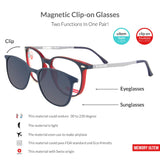 Magnetic Clip-on Glasses SE779 ARCADIO