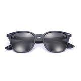 ROVER Modified Wayfarer Sunglass AR-PL374 ARCADIO