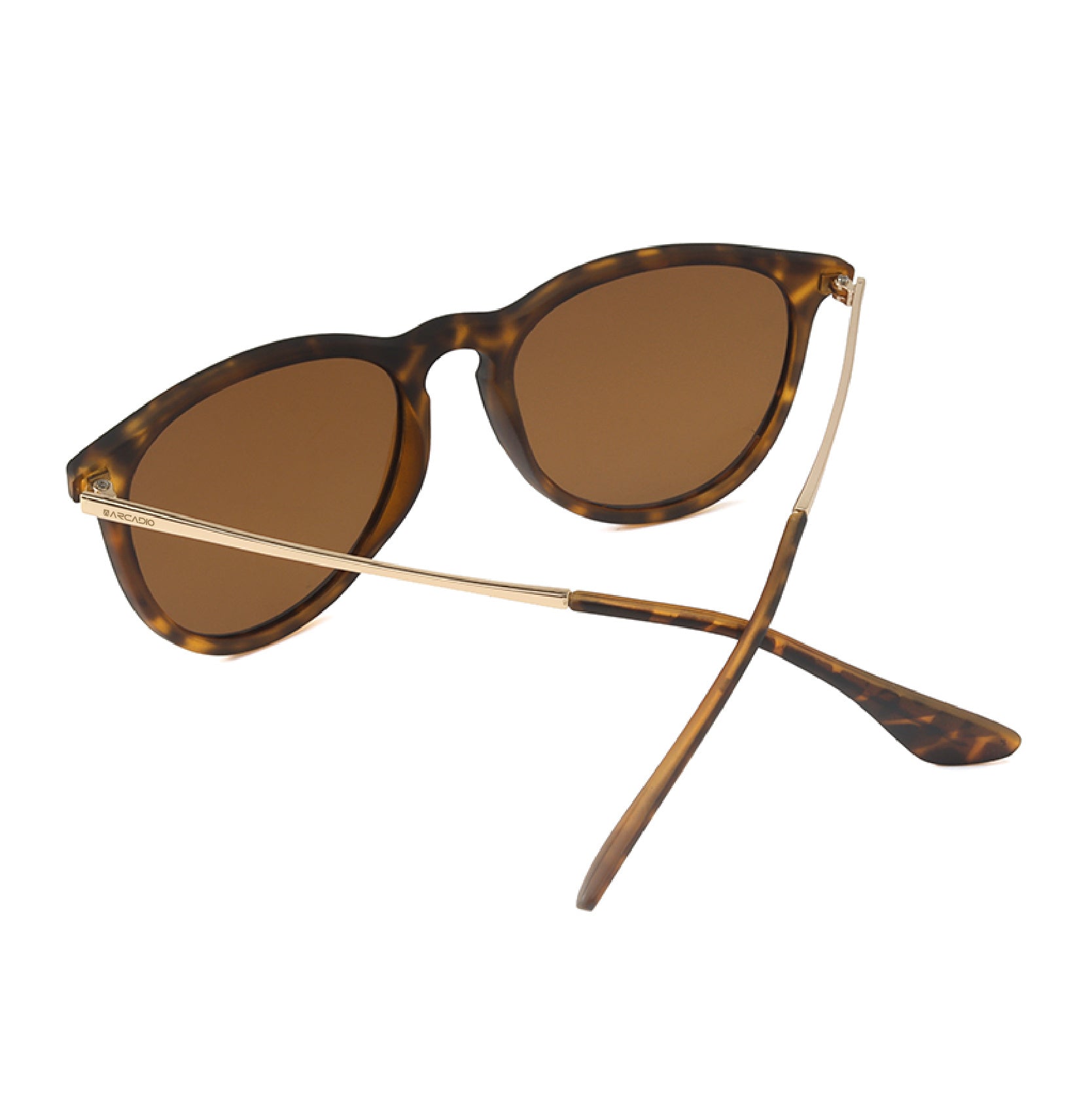 SYMPHONY Modified Square Sunglass AR-PL247 ARCADIO